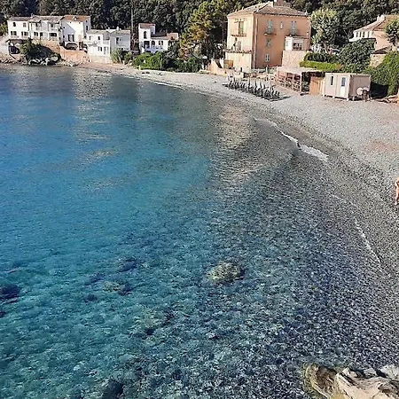 Apartment Ground Floor Of *